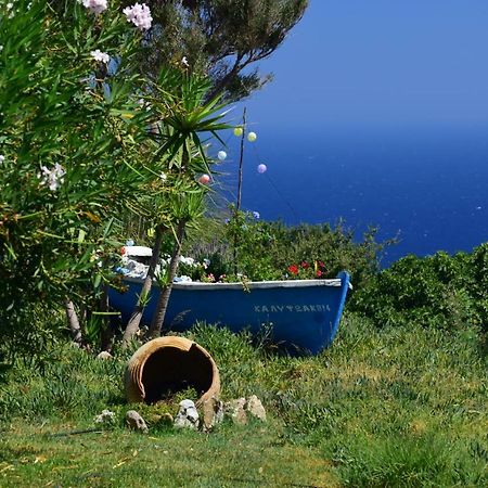 에브딜로스 Panoramma Hause, Kampos Evdilou,Ikaria 아파트 외부 사진